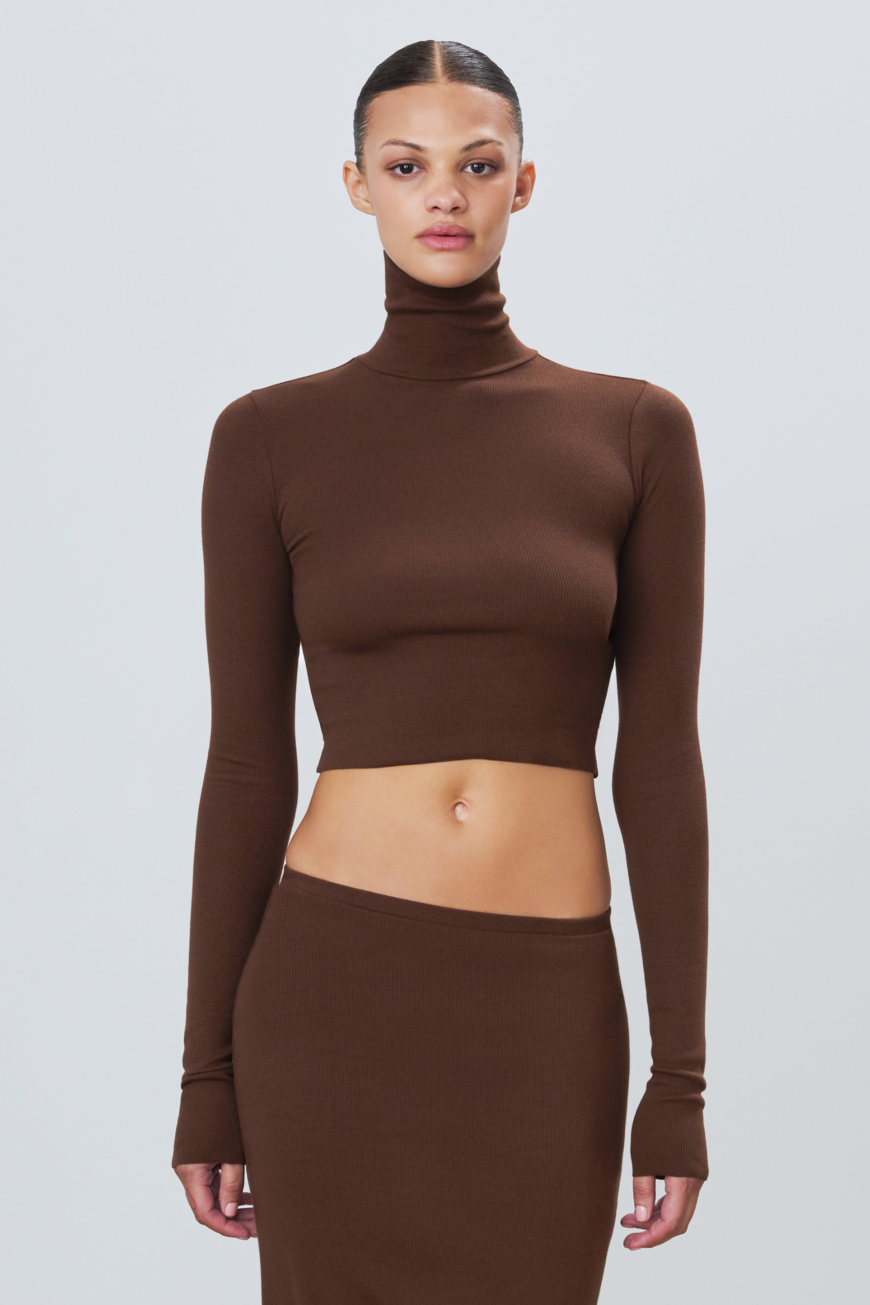 Cropped Fitted Turtleneck Top