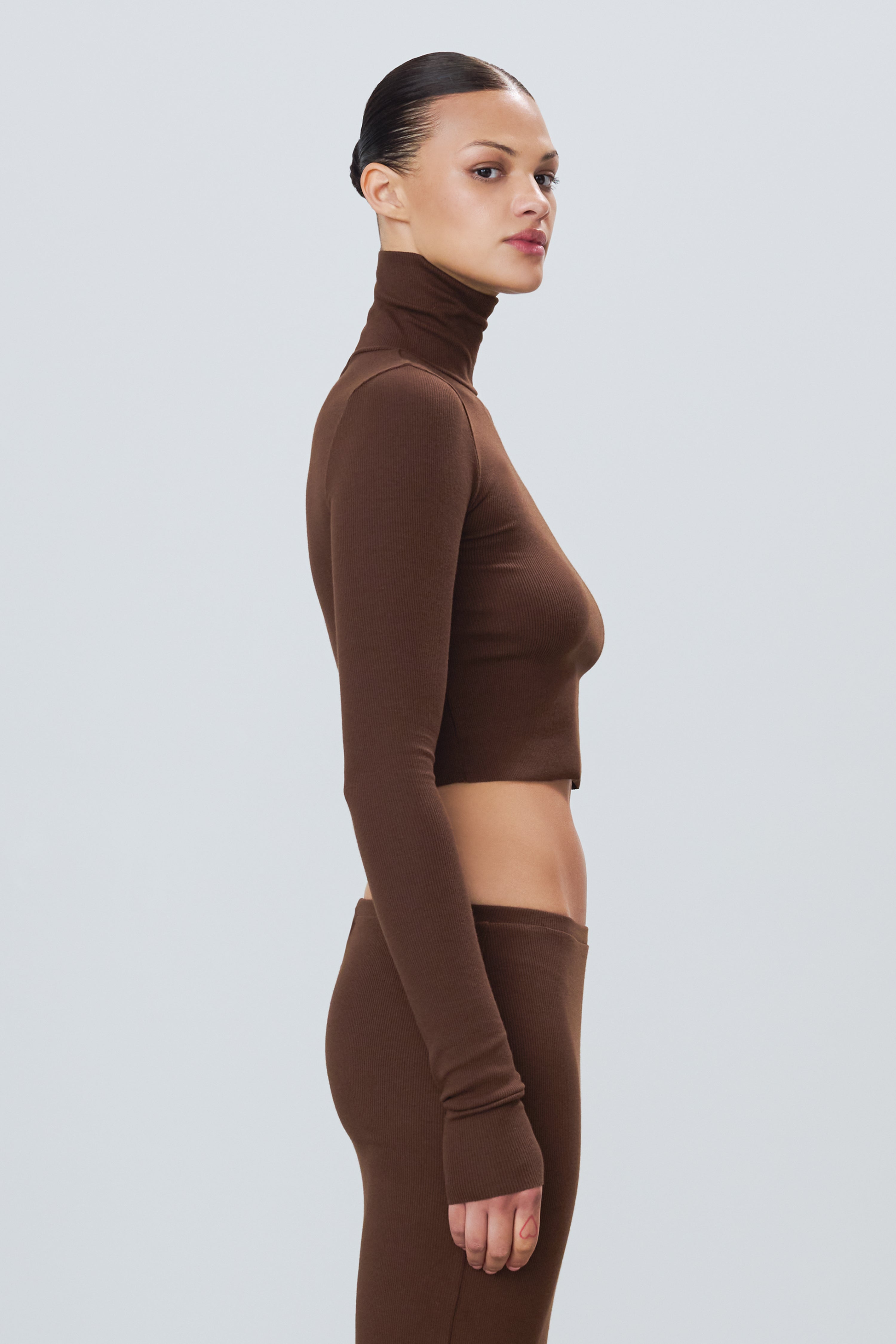 Cropped Fitted Turtleneck Top