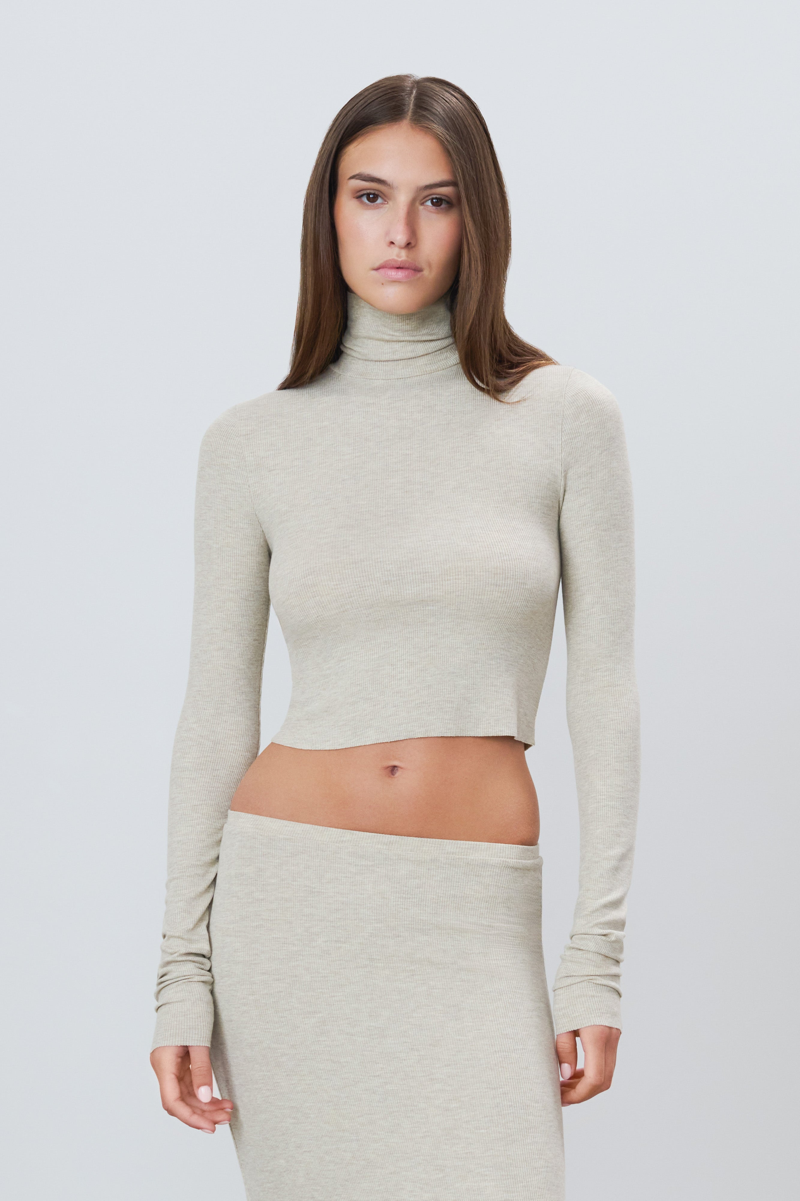 Butter Rib Cropped Fitted Turtleneck Top Heather Oatmeal