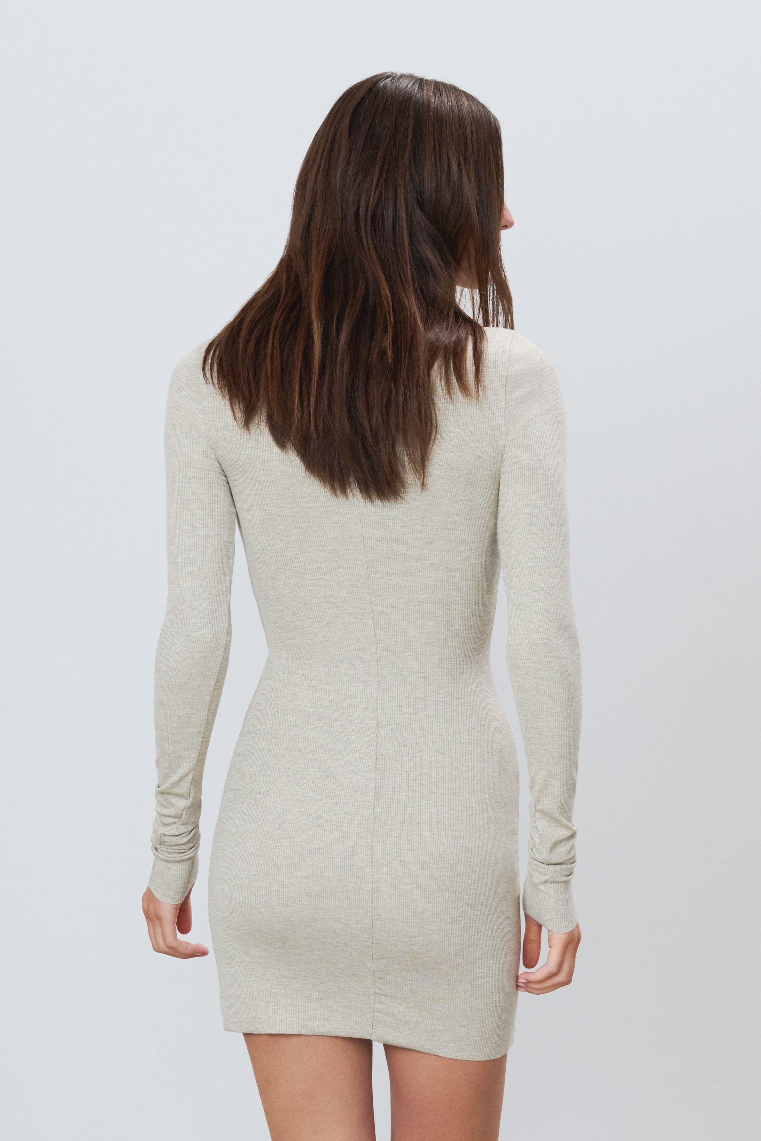 Long Sleeve Crewneck Mini Dress Heather Oatmeal