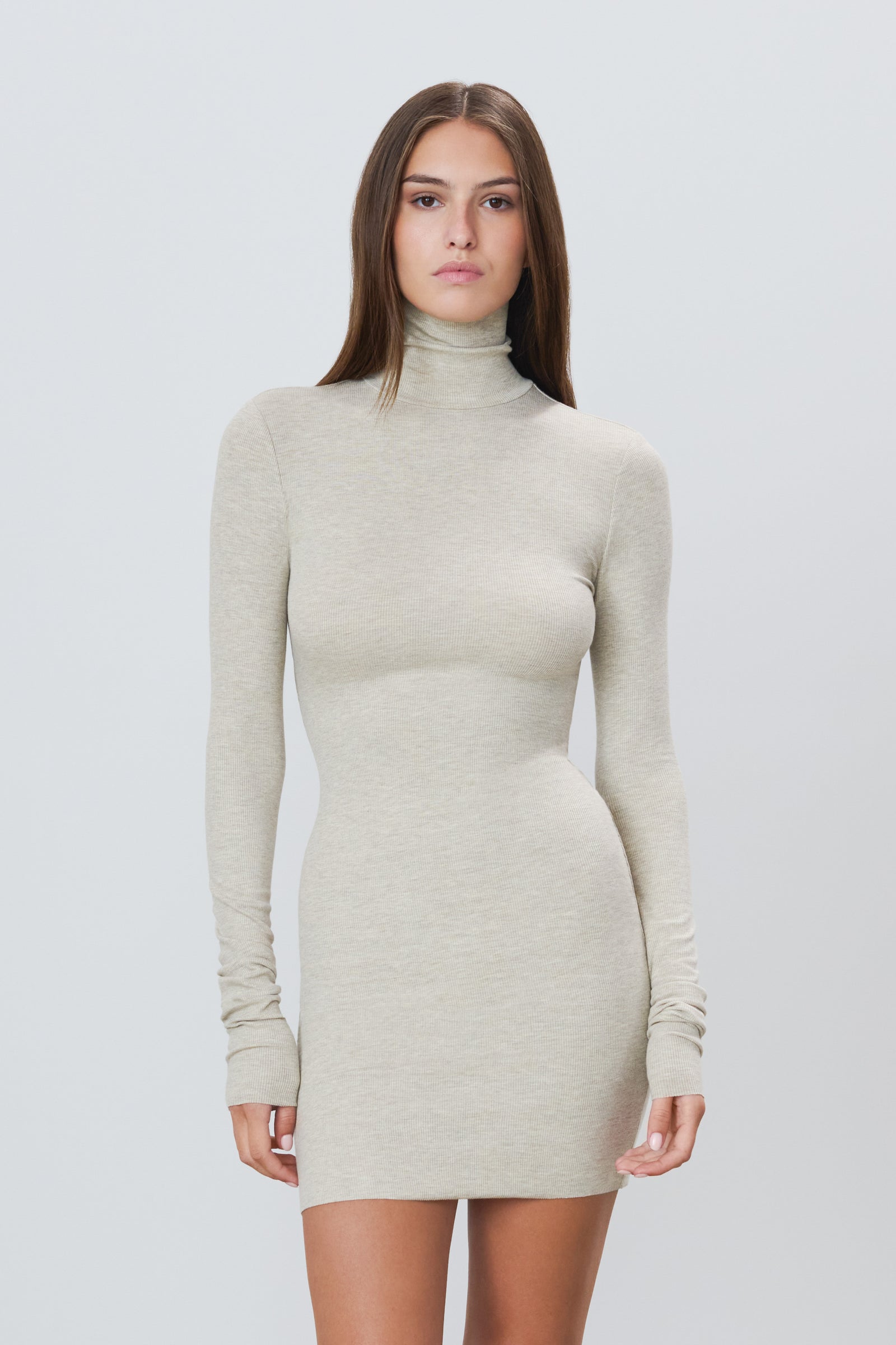 LONG SLEEVE TURTLENECK MINI DRESS - ÉTERNE