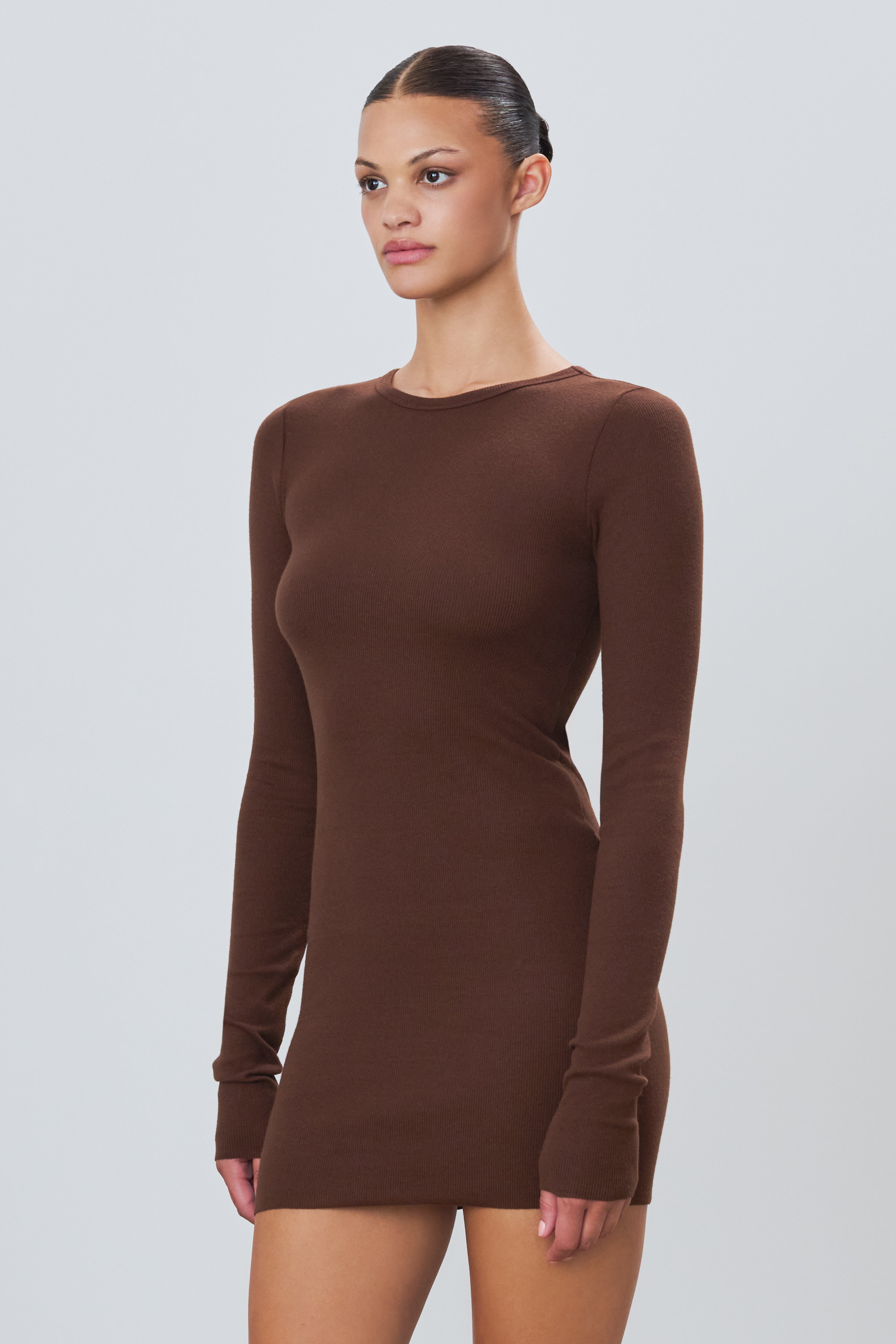 Long Sleeve Crewneck Mini Dress Chocolate