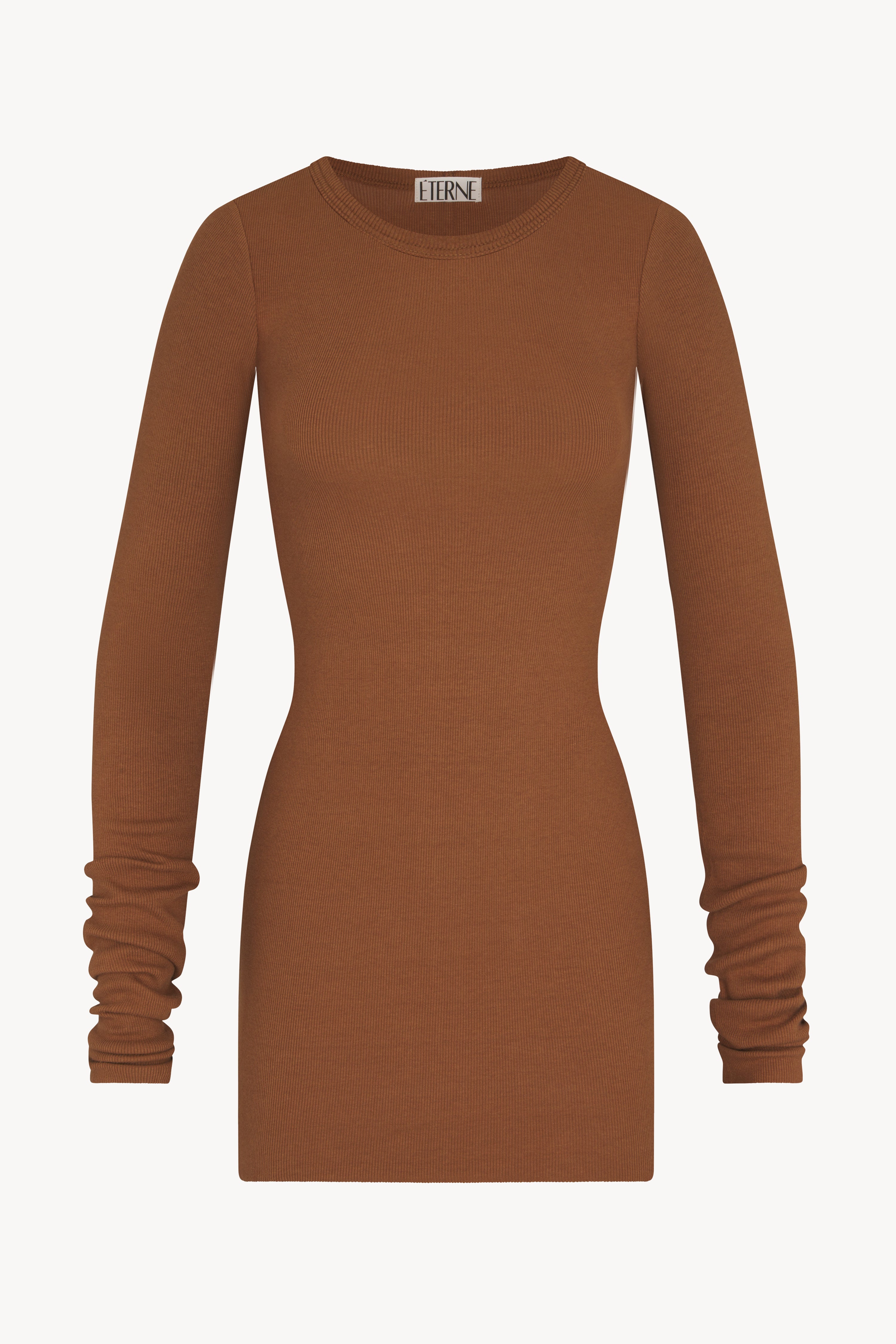 Long Sleeve Crewneck Mini Dress Earth