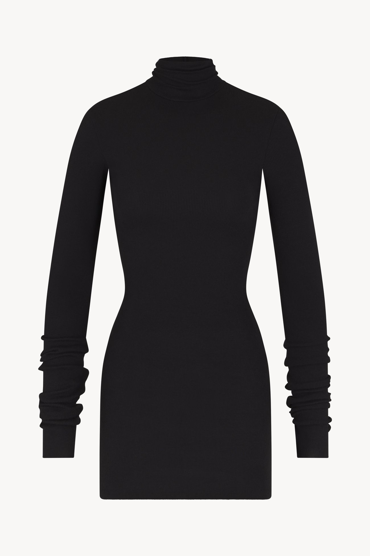 Long Sleeve Turtleneck Mini Dress