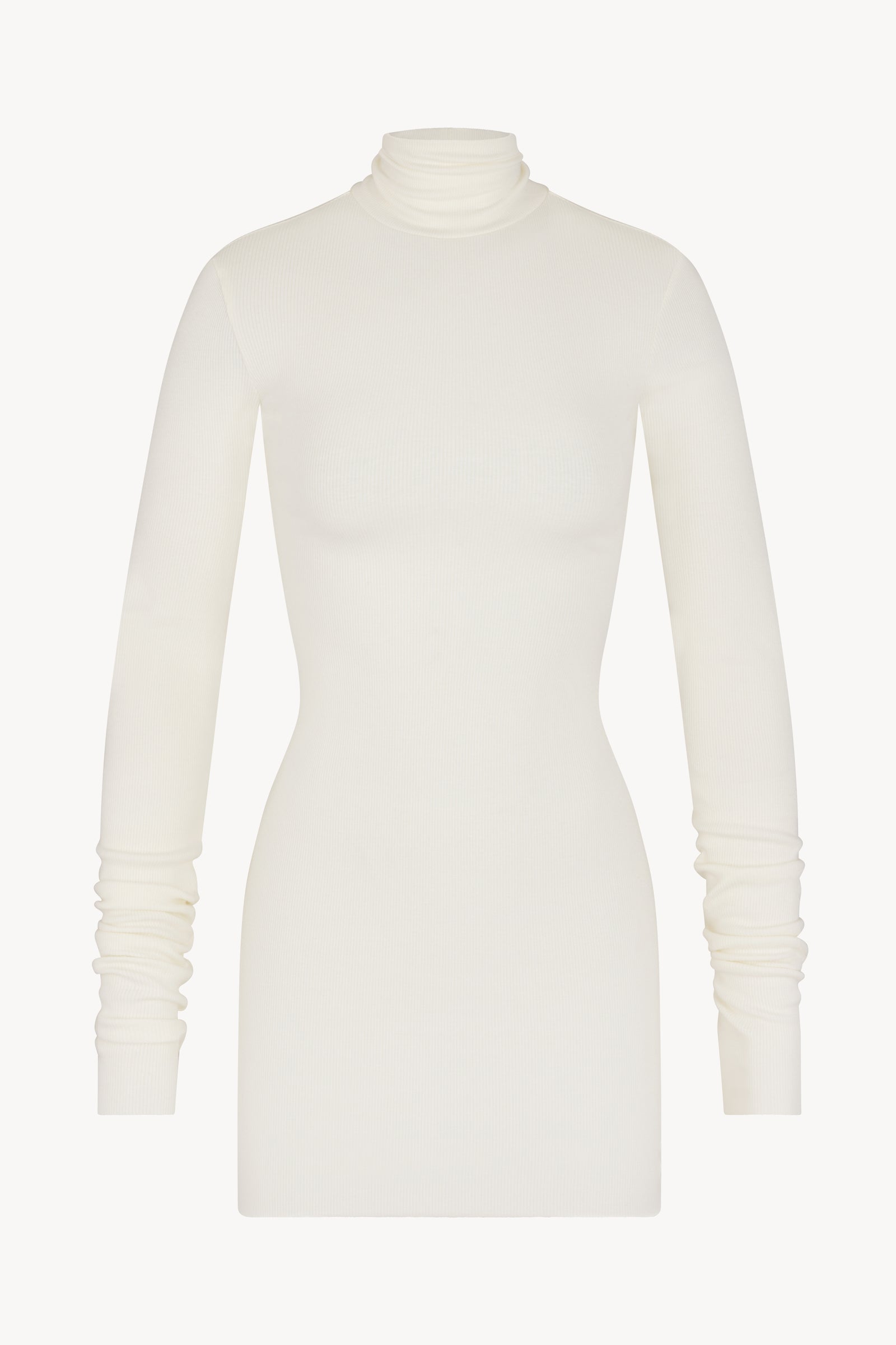 LONG SLEEVE TURTLENECK MINI DRESS - ÉTERNE