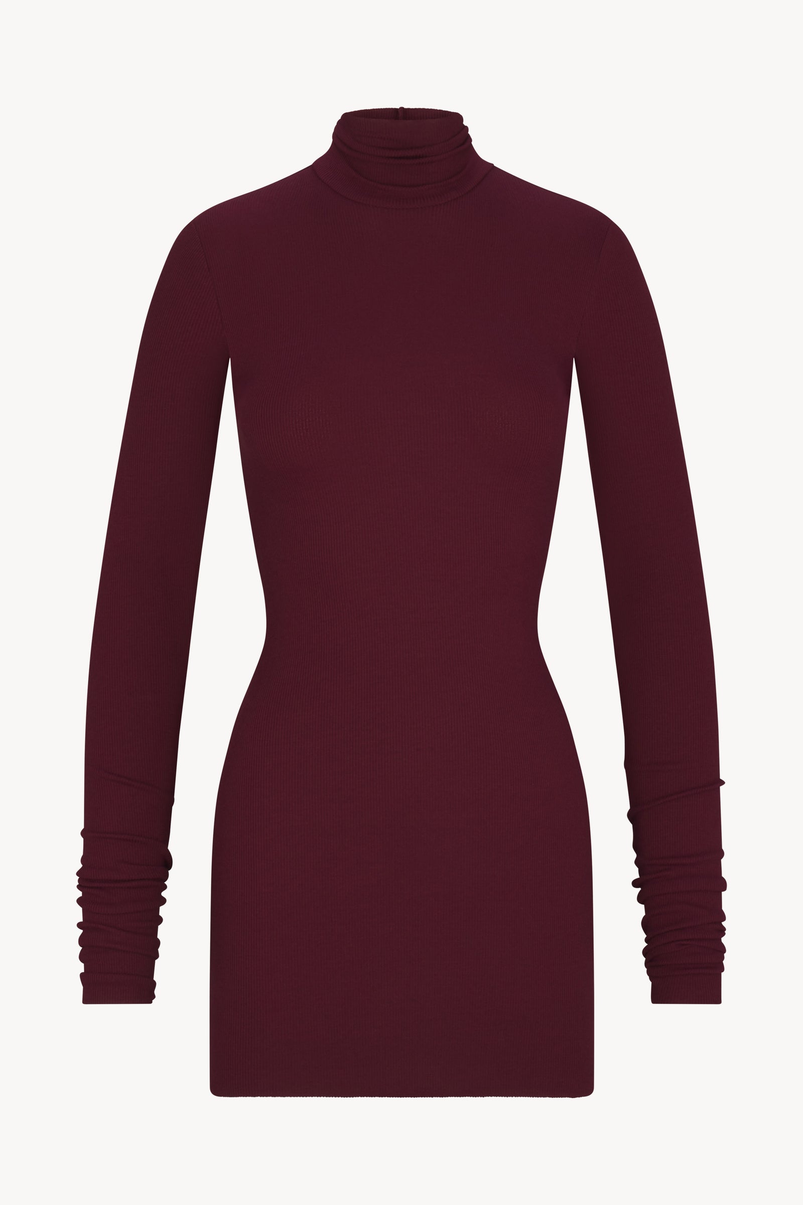 ÉTERNE LONG SLEEVE TURTLENECK MINI DRESS