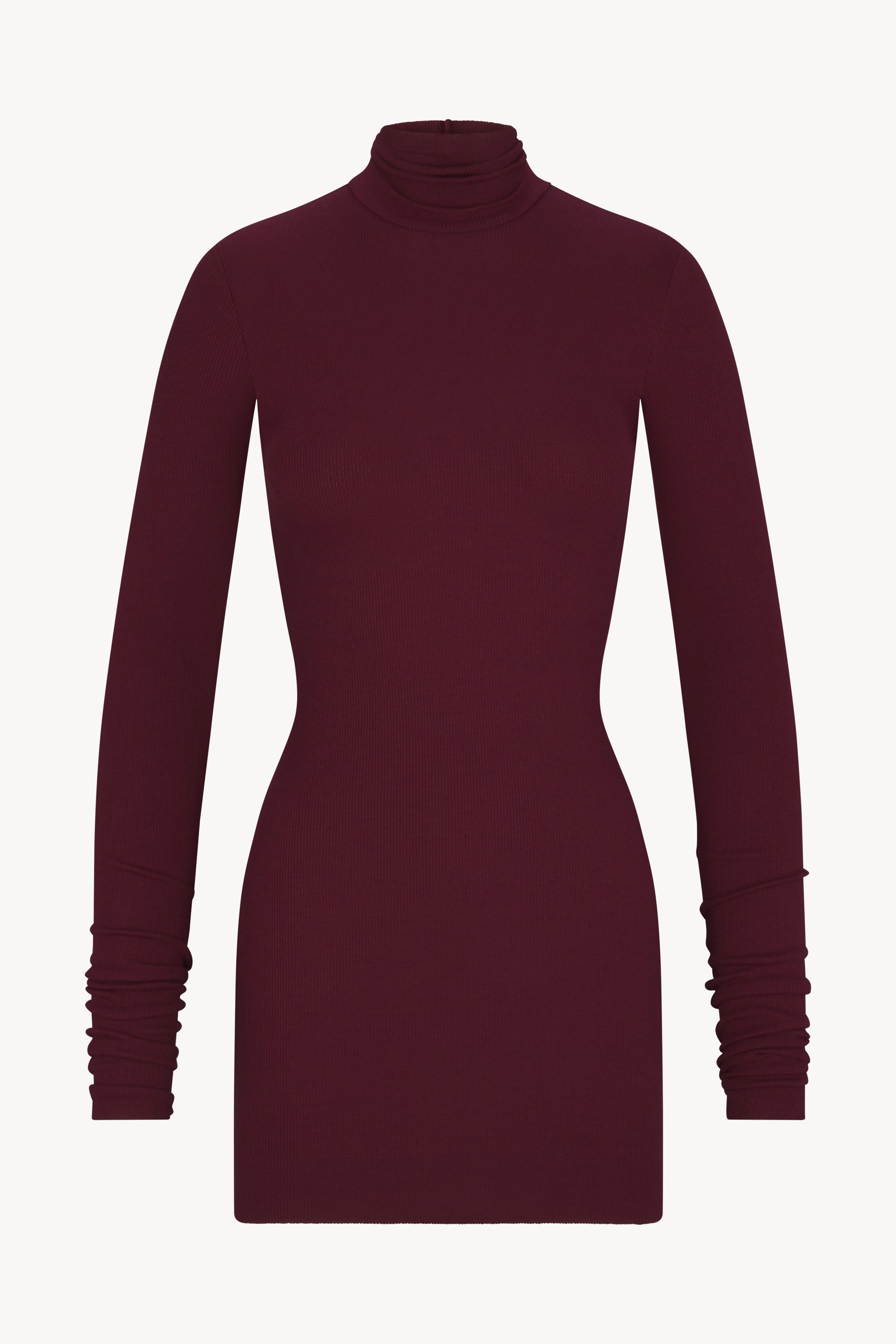 ÉTERNE LONG SLEEVE TURTLENECK MINI DRESS
