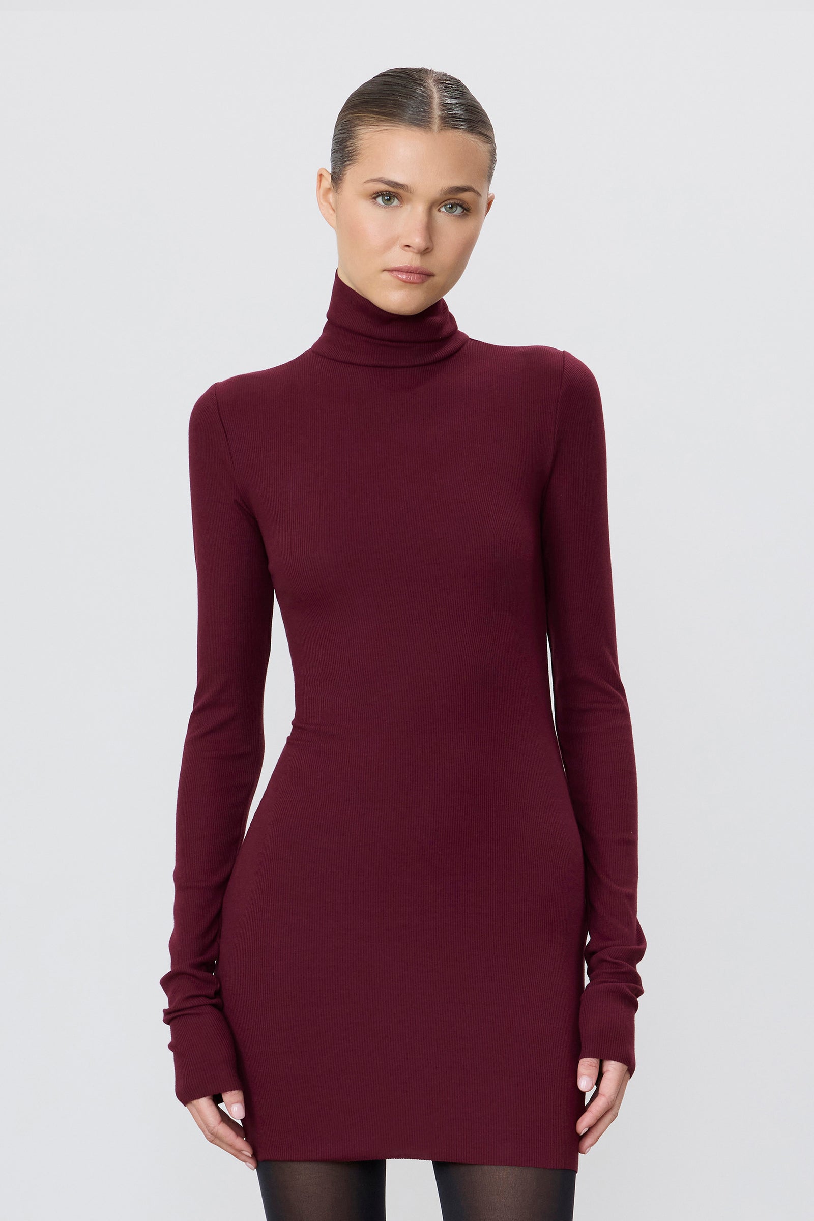 ÉTERNE LONG SLEEVE TURTLENECK MINI DRESS