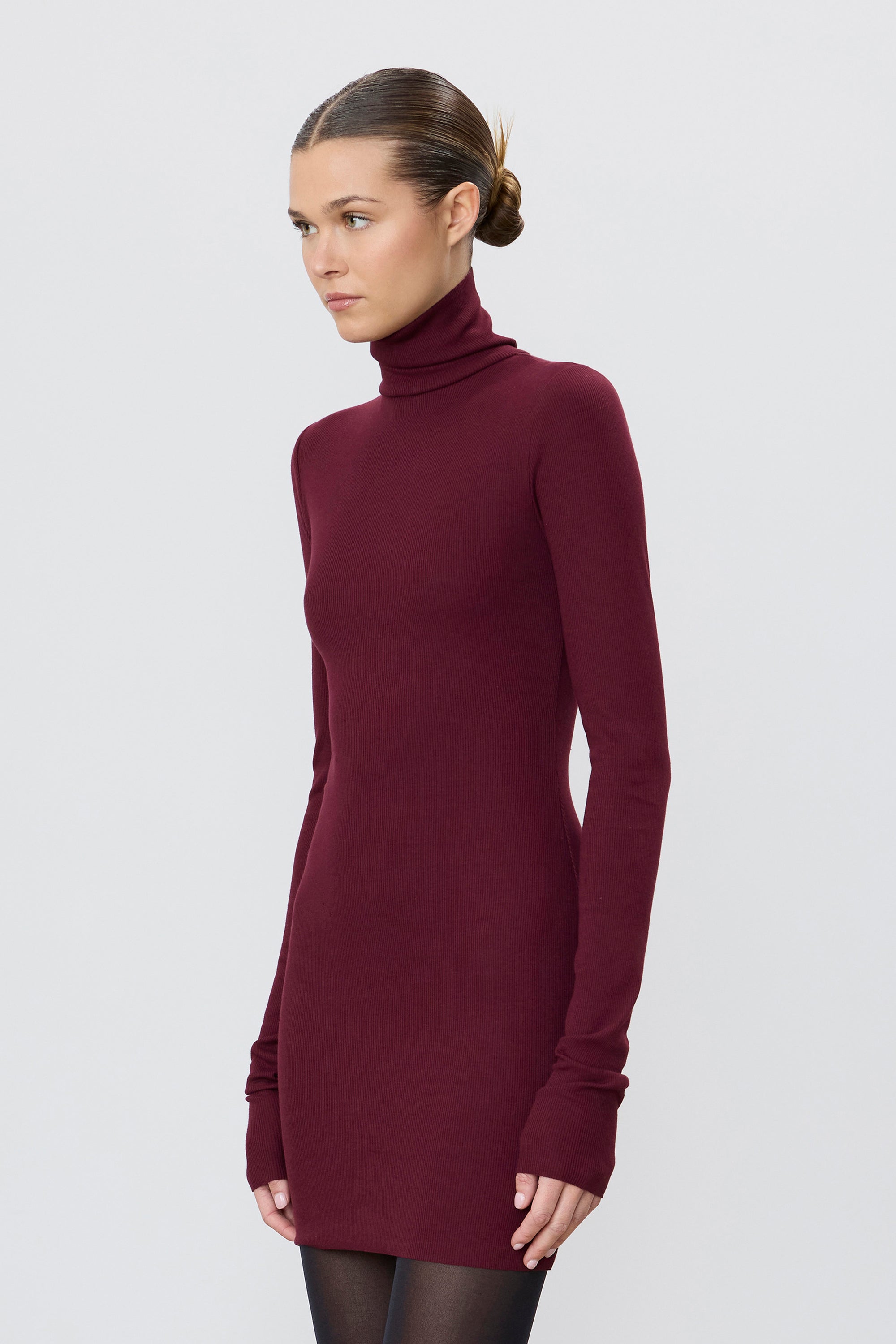 ÉTERNE LONG SLEEVE TURTLENECK MINI DRESS