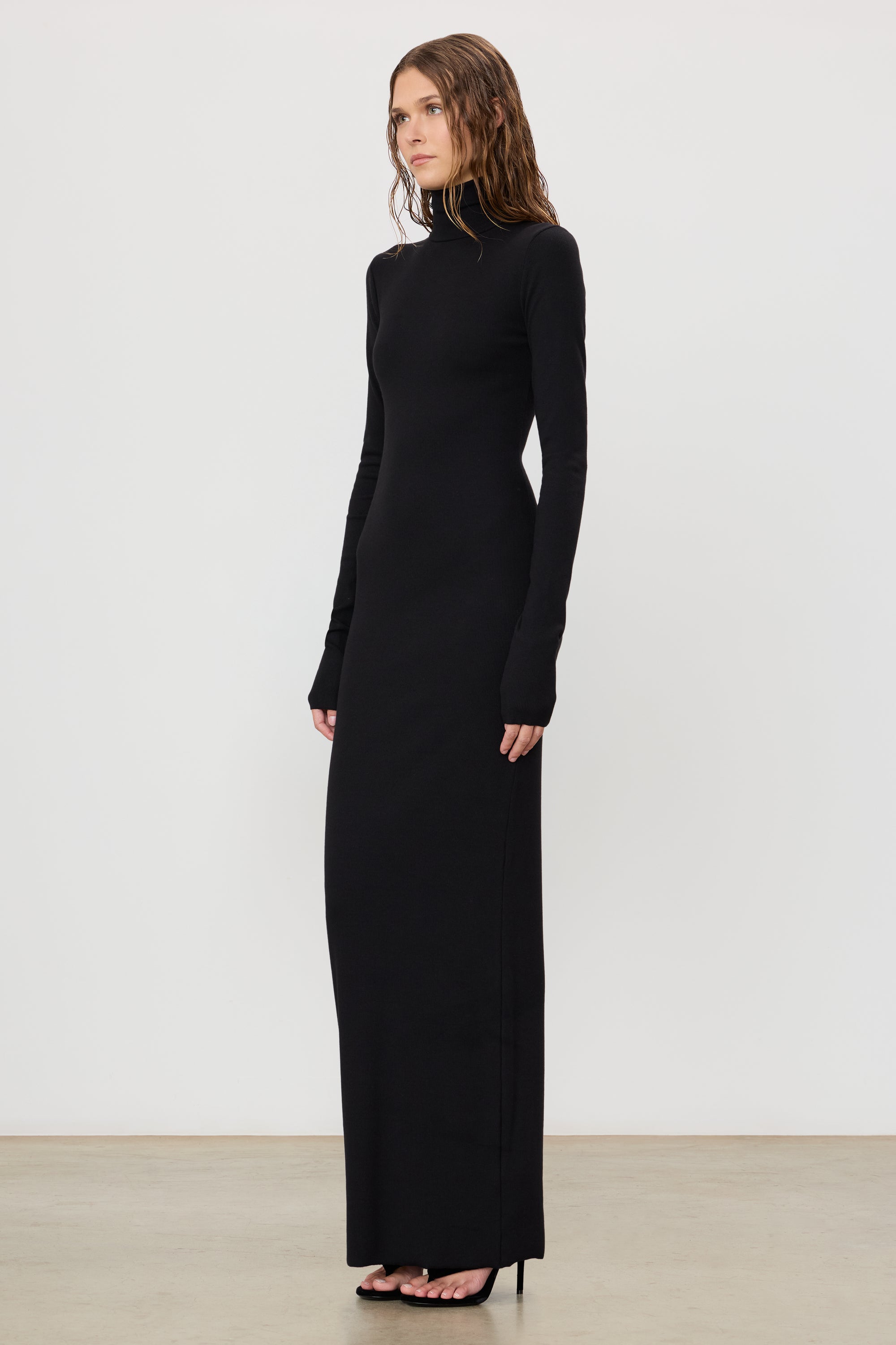 Eterne Long Sleeve Turtleneck Maxi Dress - Black Eterne Long Sleeve Turtleneck Maxi Dress - Black