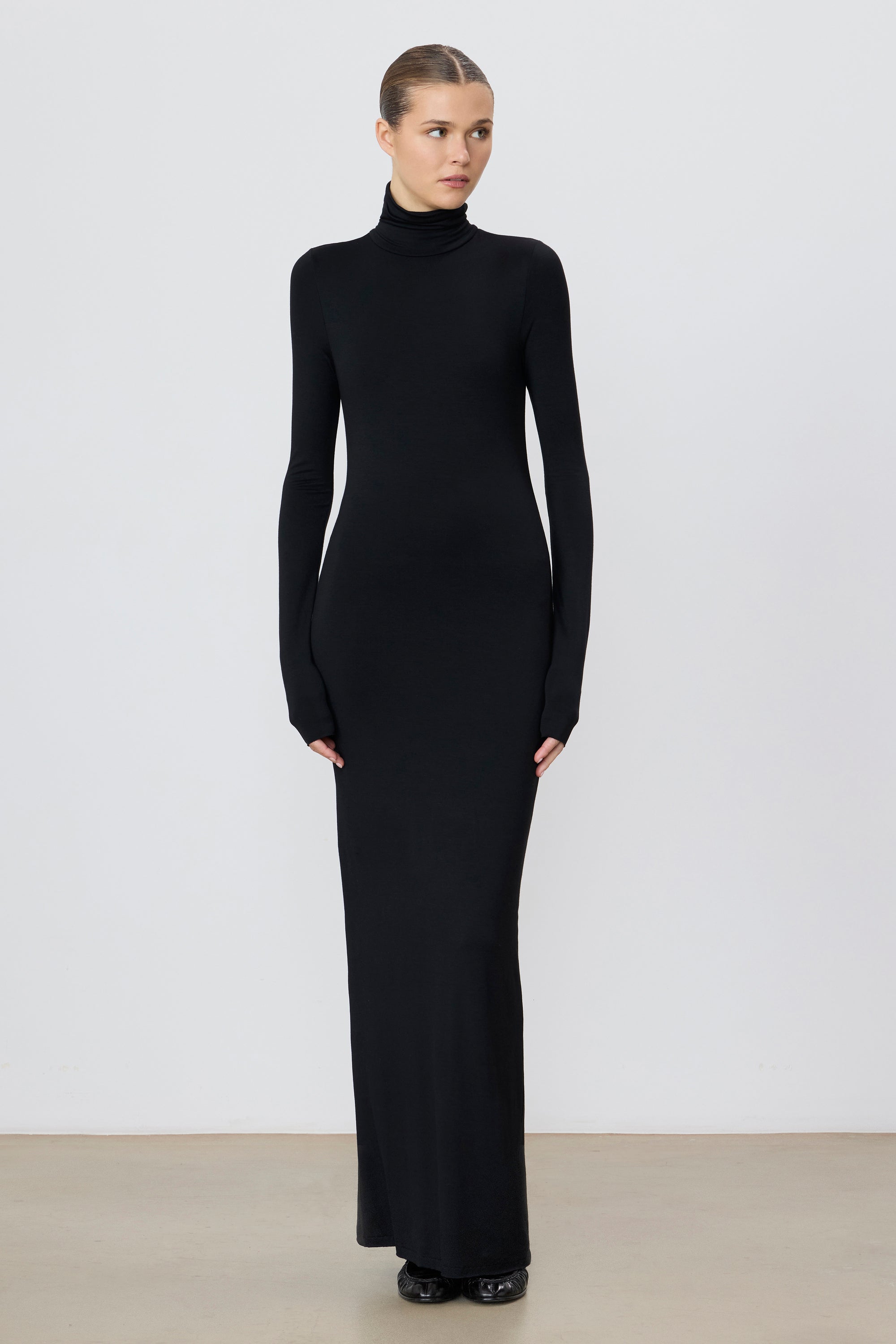 ÉTERNE LONG SLEEVE TURTLENECK MAXI DRESS