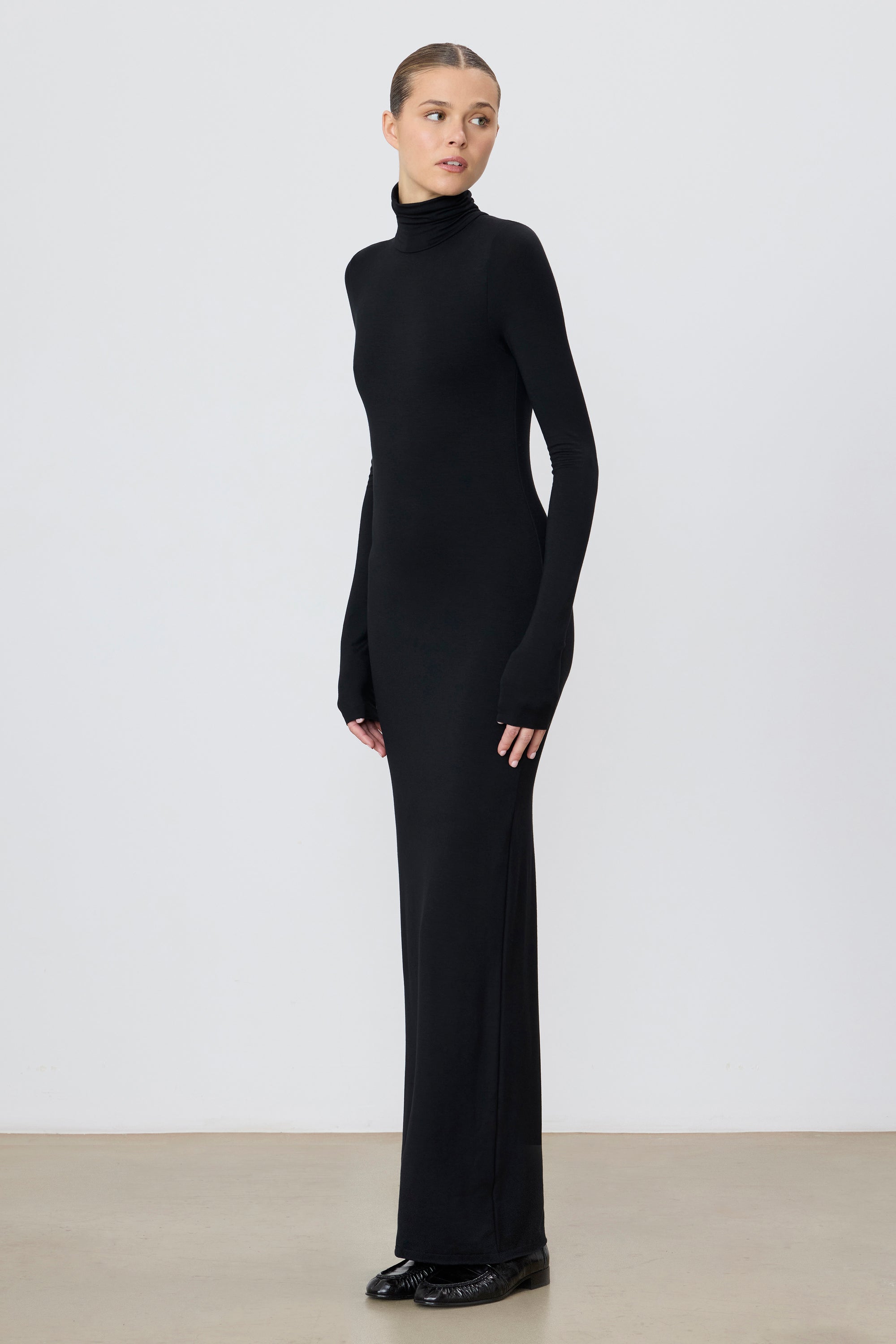 ÉTERNE LONG SLEEVE TURTLENECK MAXI DRESS