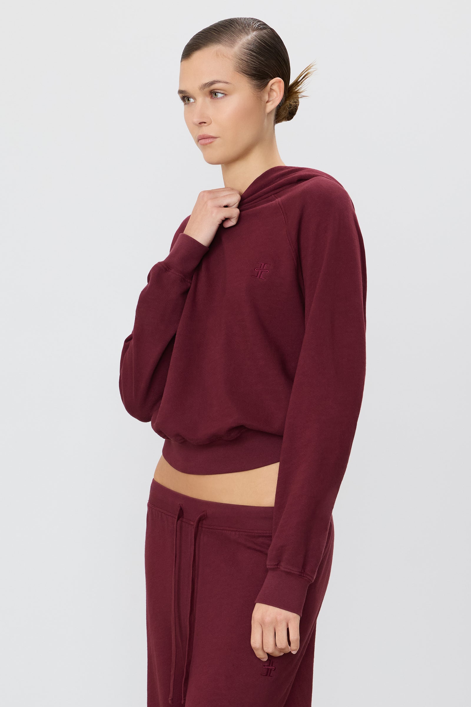 ÉTERNE SHRUNKEN HOODIE SWEATSHIRT