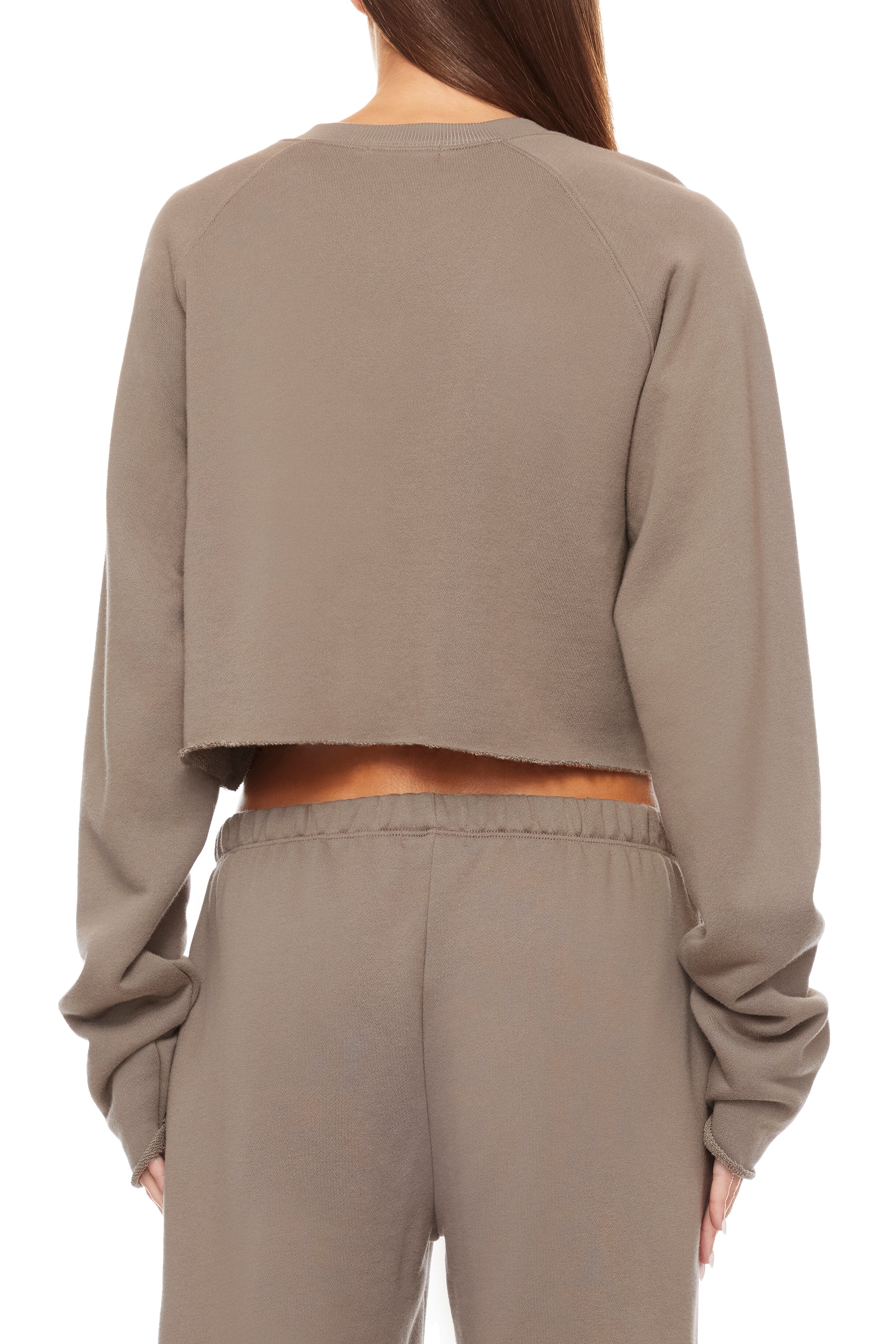 Long Sleeve Raglan Sweatshirt Clay TERRY ÉTERNE 