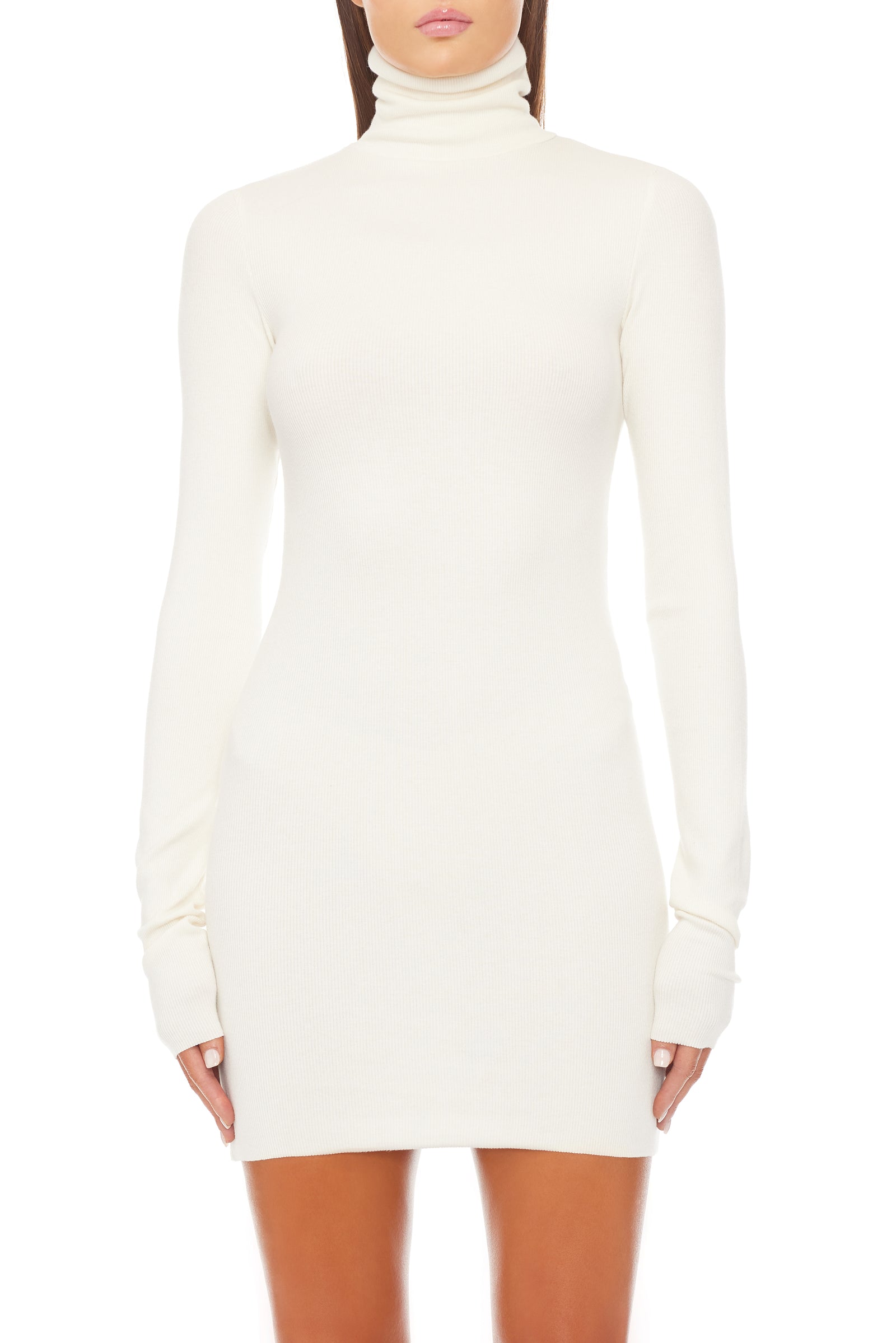 LONG SLEEVE TURTLENECK MINI DRESS - ÉTERNE