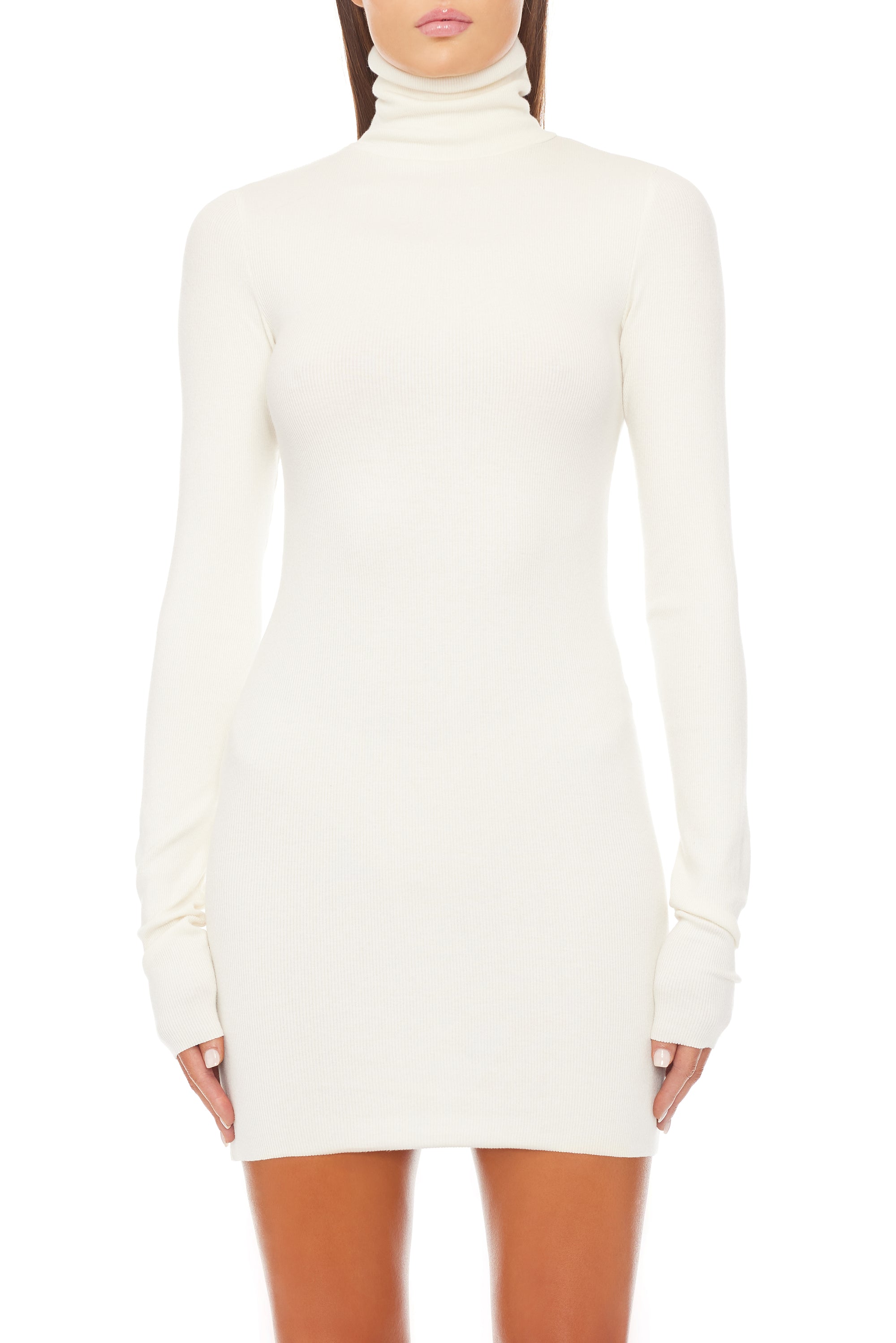 LONG SLEEVE TURTLENECK MINI DRESS - ÉTERNE