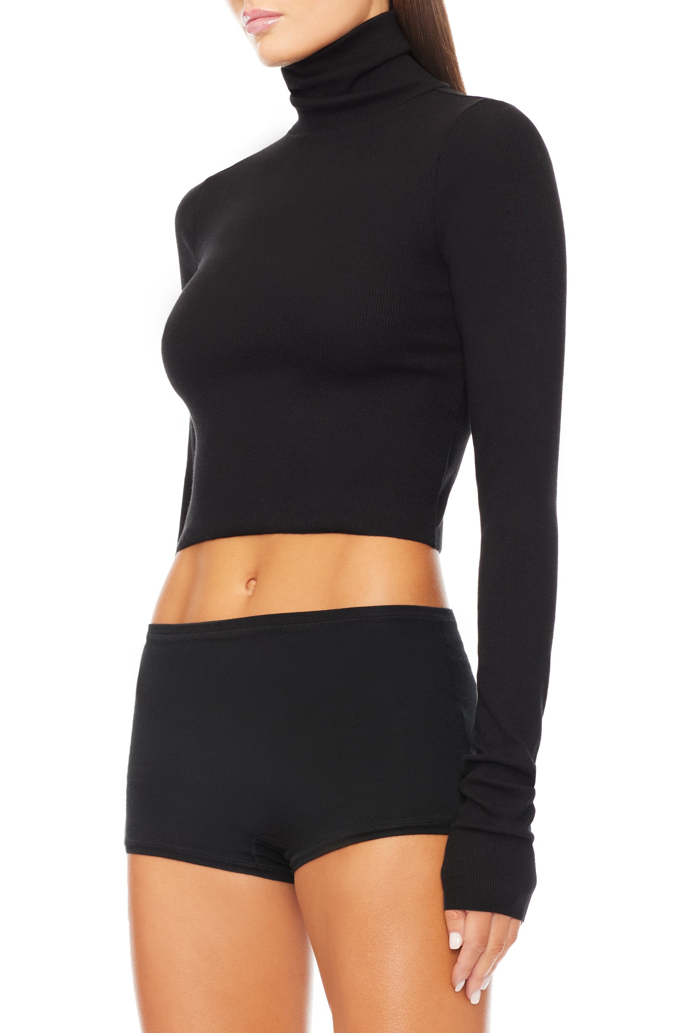 Butter Rib Cropped Fitted Turtleneck Top Black