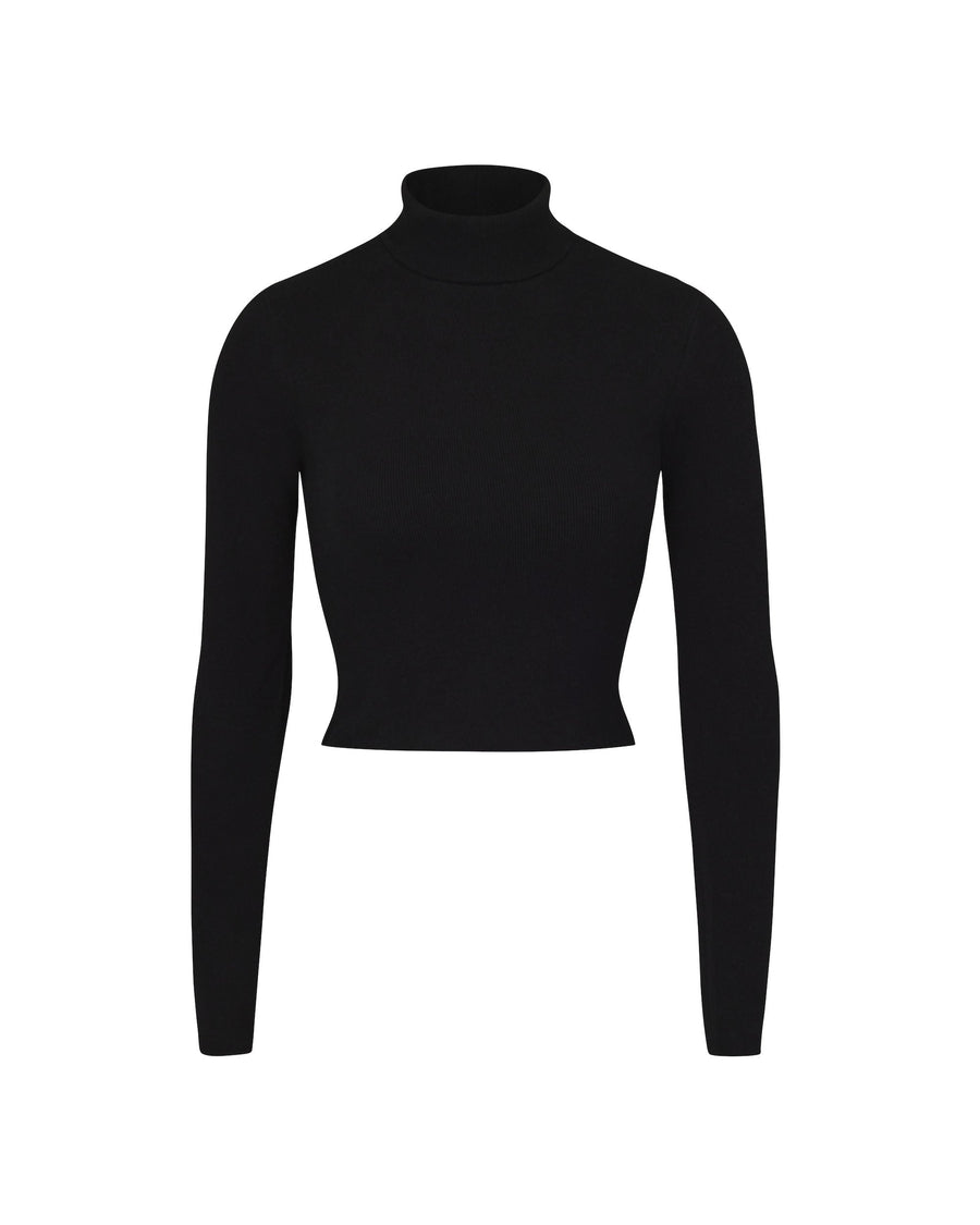 Cropped Fitted Turtleneck Top Black